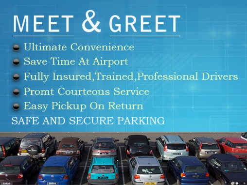Meet and greet services
